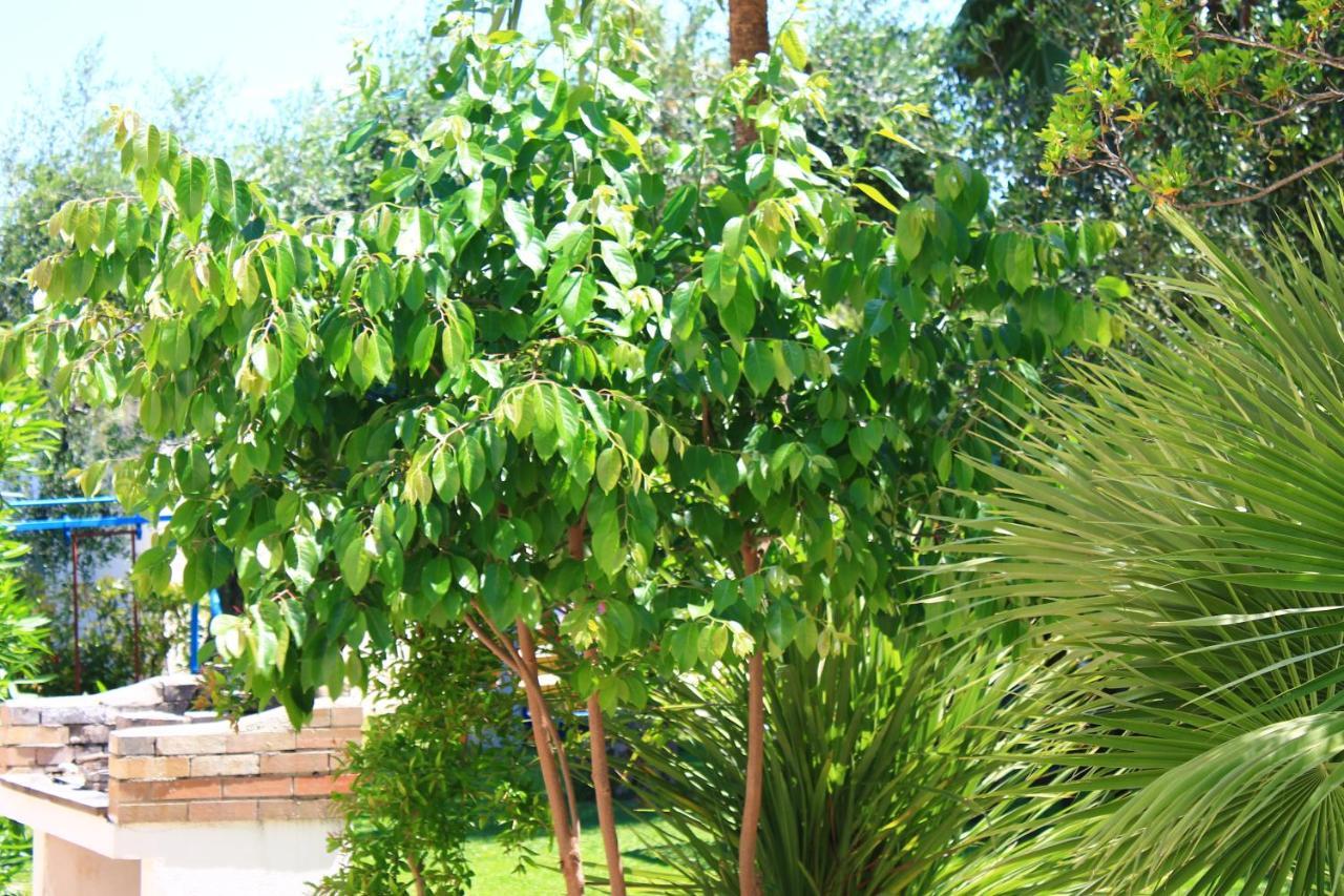 فيستَ Green Garden Eco-Holiday المظهر الخارجي الصورة